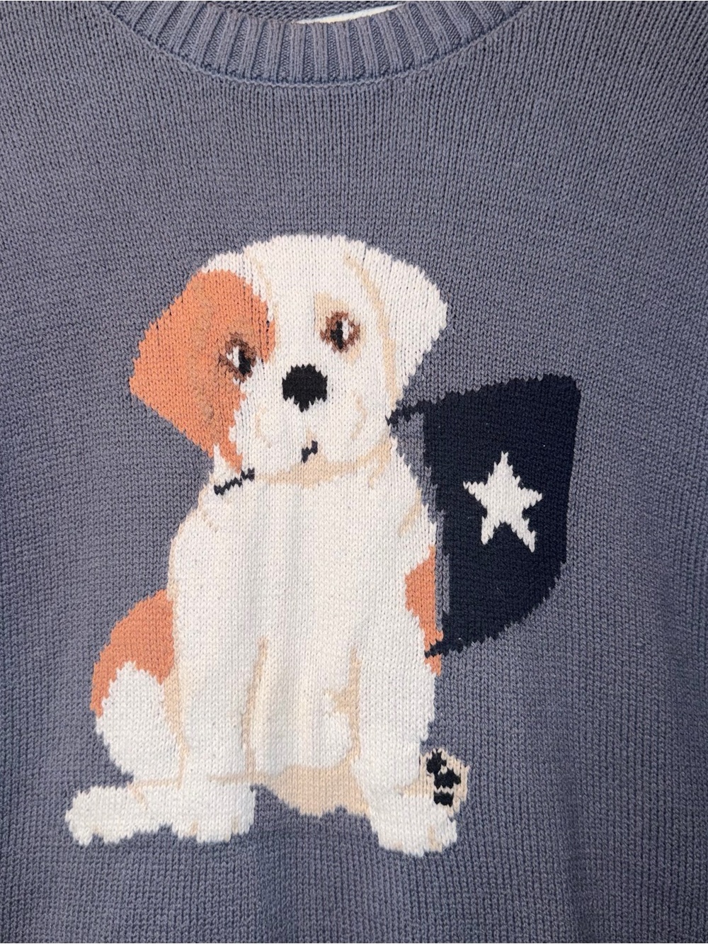 Hollister Puppy Flag Sweater size XS - Picture 3 of 5